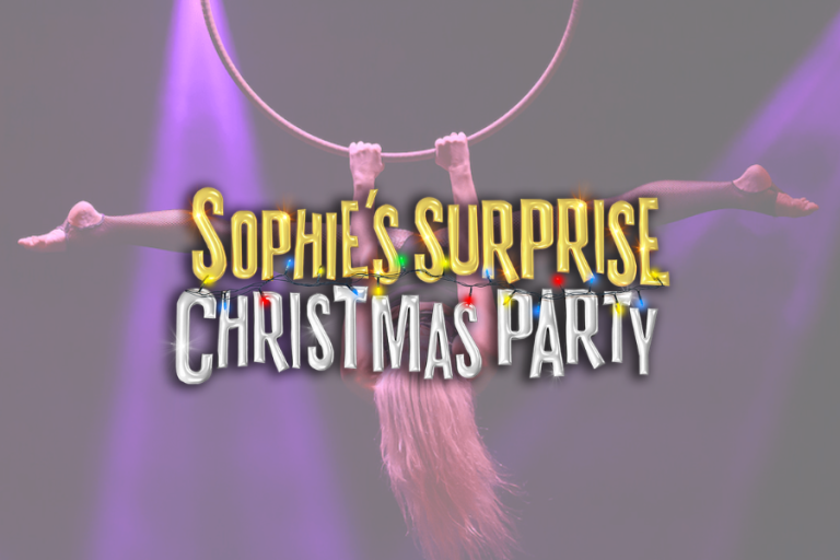 Sophie’s Surprise Christmas Party
